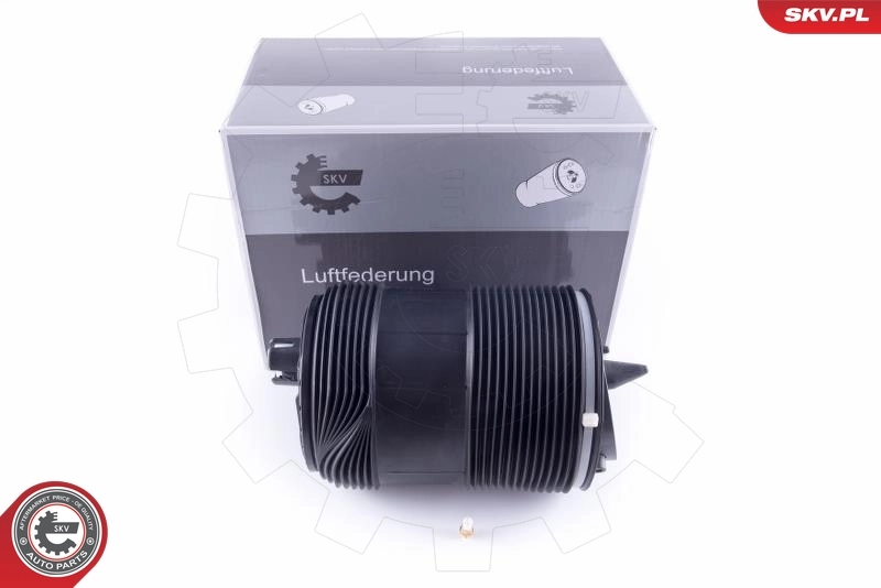Air Spring, suspension
